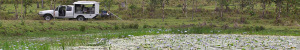 Codyhart Environmental - Gold Coast
